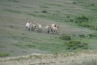 DSC00589