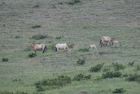 DSC00599