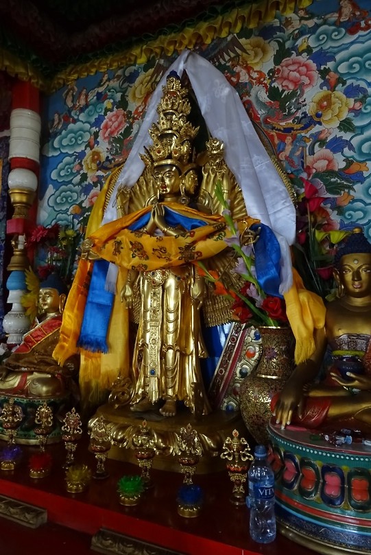 DSC00646