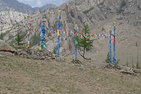 DSC00654
