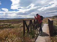 Wandelpad door Laguna Nimez