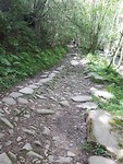 Romeinse weg