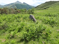 Dolmen