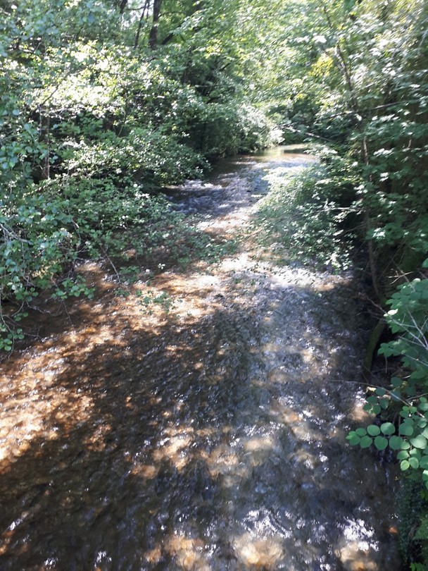 Rivier