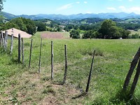 Uitzicht