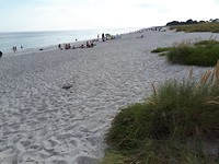 Wit strand
