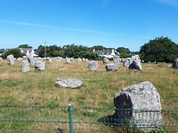 Veld vol Menhirs