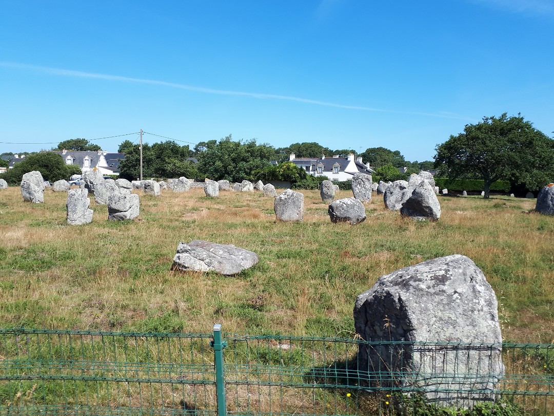 Veld vol Menhirs