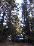 Camper in het bos