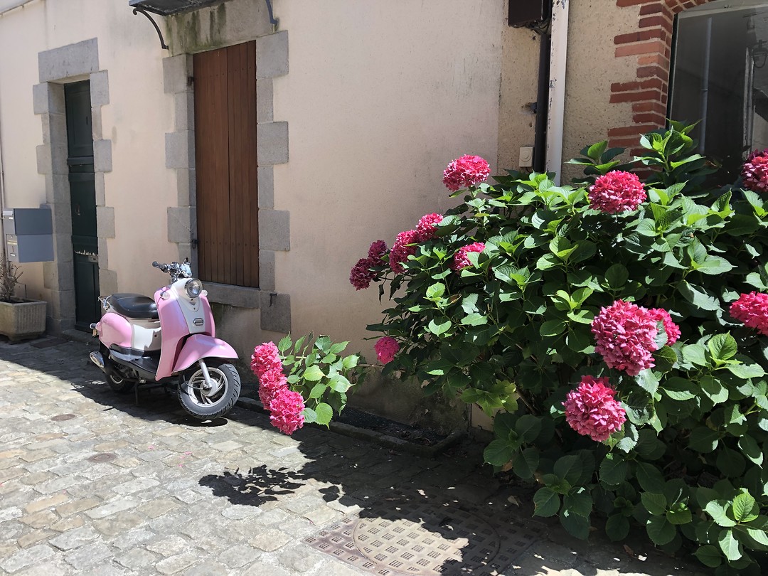 Roze