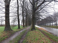 20200310_130314