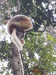 20220928_090426(0)