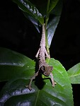 IMG-20220928-WA0012