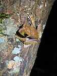 IMG-20220928-WA0010