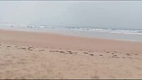 VID-20240417-WA0004