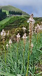 IMG-20240506-WA0014