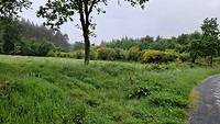 IMG-20240520-WA0000