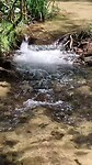 VID-20250417-WA0000