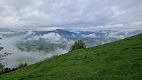 20250426_090822
