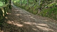 20250517_104501