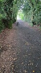 IMG-20250520-WA0004