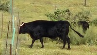 20260411_093226