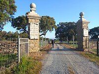 IMG-20260419-WA0014