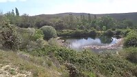 VID-20260422-WA0008