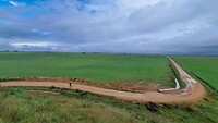 IMG-20260429-WA0008