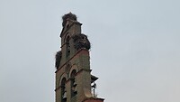 20260430_073349
