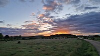 20260503_072626