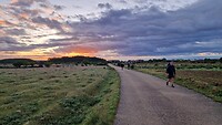 20260503_072529