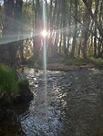 IMG-20260505-WA0014