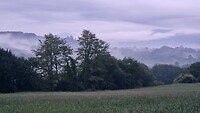20260512_070754