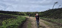 IMG-20260512-WA0014