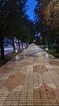 20260518_063200