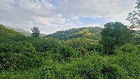 20260523_073844
