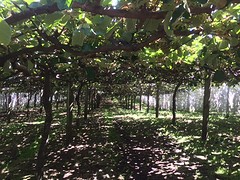 IMG_5275