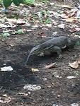 IMG_6873