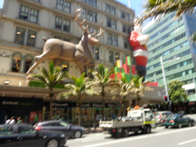 DSC02406