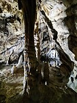 IMG_20210813_121537