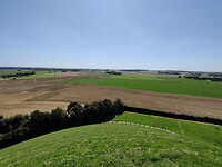 IMG_20210814_132758