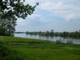 Zicht op de Maas vanuit het natuurgebied Maasduinen