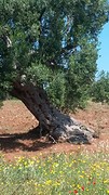 20160525_104158