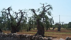 20160525_105845