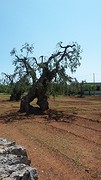20160525_105956