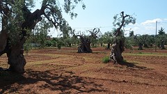 20160525_110054