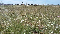 20160526_141441