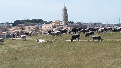 20160526_141554