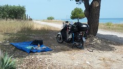heel alleen aan het strand